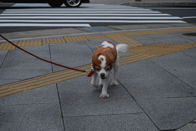 c0136838_15473164.gif