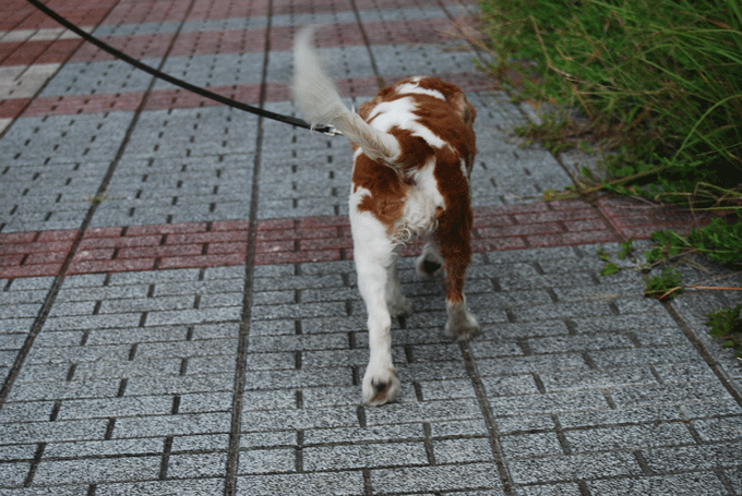 c0136838_19151357.gif