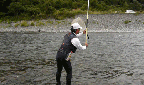 a0056140_15461784.gif