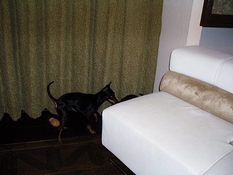 c0123149_026584.jpg