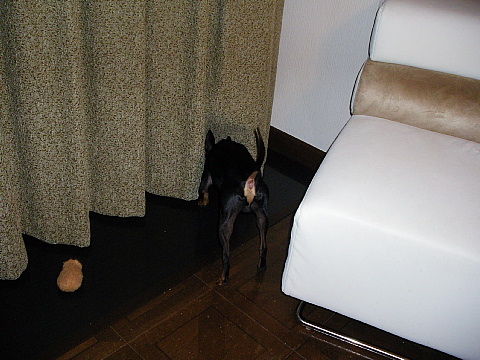 c0123149_0285094.jpg