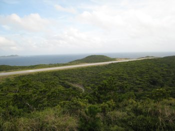 b0093050_2054785.jpg