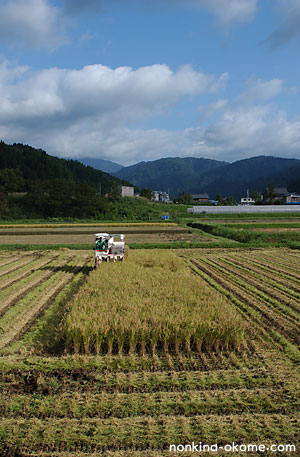 c0145453_22424162.jpg