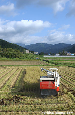 c0145453_22485493.jpg