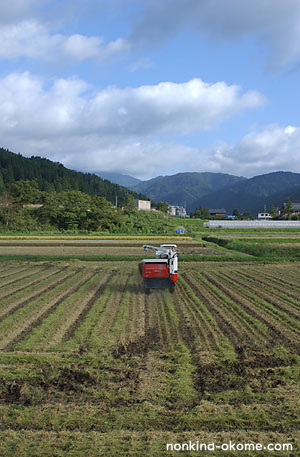 c0145453_22534240.jpg