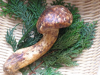 e0123255_050168.jpg