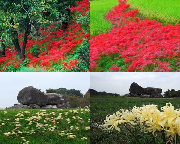 奈良県　御破裂山～飛鳥_e0035757_22224622.jpg