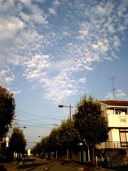 f0169659_0163270.jpg