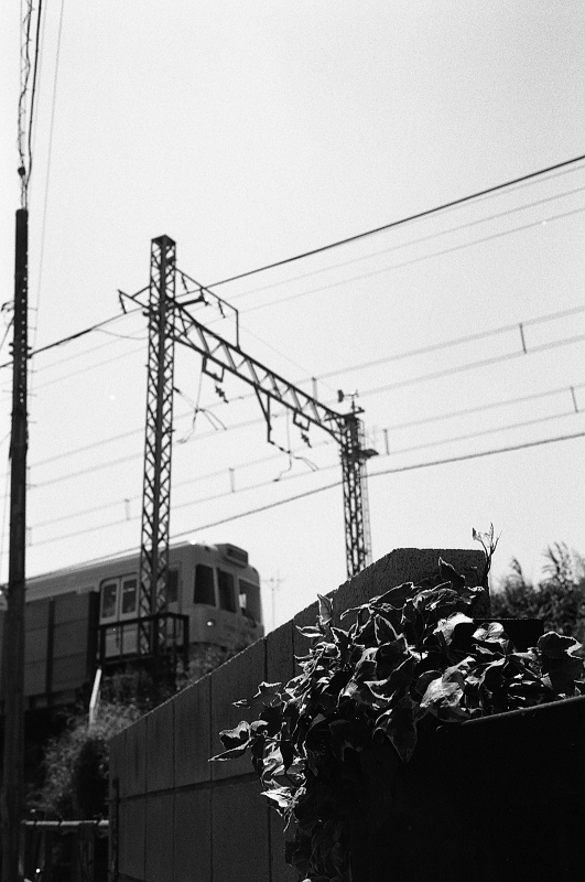 c0084666_04478.jpg