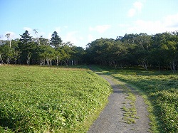 北海道４日目：釧路～根室～釧路湿原_f0163873_1253448.jpg