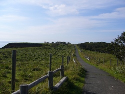 北海道４日目：釧路～根室～釧路湿原_f0163873_1331535.jpg