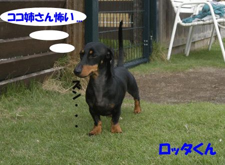 e0066883_22582445.gif