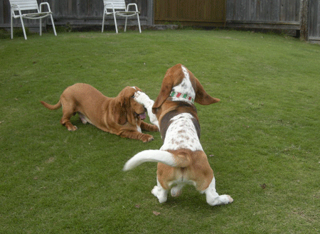 e0066883_23123941.gif