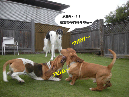 e0066883_23131972.gif
