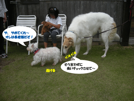 e0066883_2316232.gif