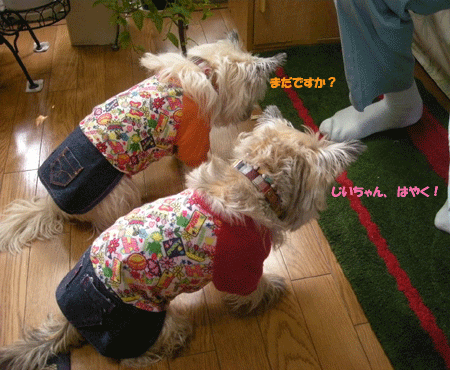e0066883_23333646.gif