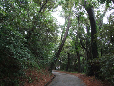 若いっ! けど、戦跡ツアー。_e0028387_1264545.jpg