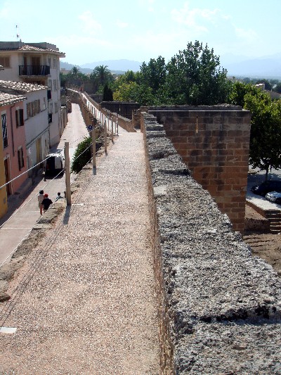 e0084888_72361.jpg