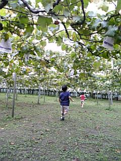 c0166589_1617776.jpg