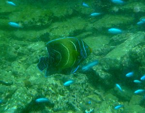 f0079996_146263.jpg