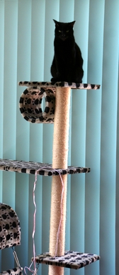 c0053898_8163982.jpg