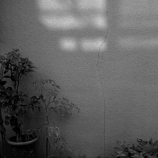d0129998_0222693.jpg
