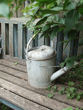 c0129702_23422814.gif