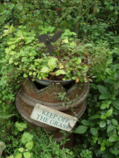 c0129702_23425790.gif
