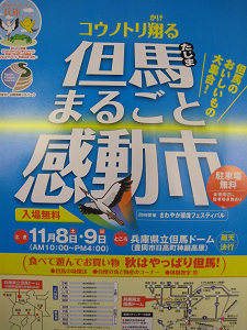 感動しまっせ!!_d0135908_2153471.jpg