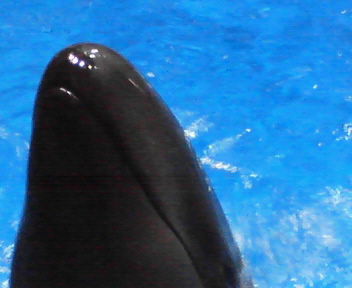 d0132212_138412.jpg