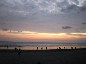 d0038319_9371723.gif