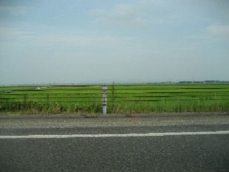 a0061324_20364397.jpg