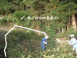 伐採と剪定_f0031037_20131799.jpg