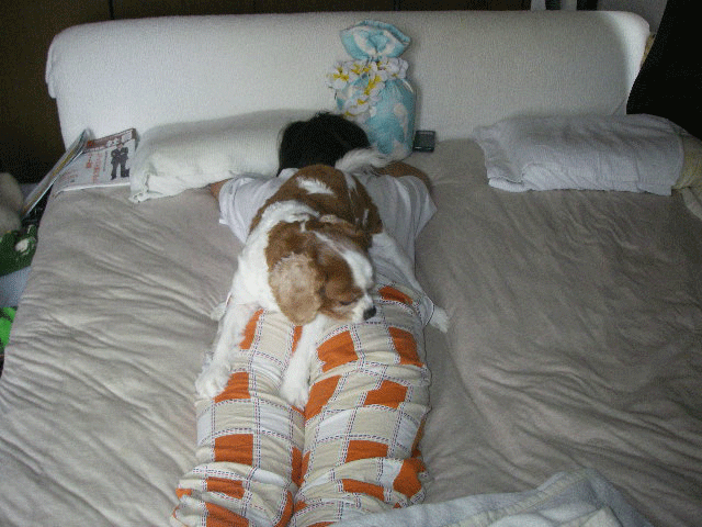 c0136838_21113822.gif
