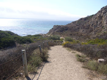 f0002252_74047.jpg