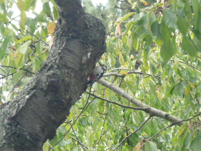 b0109054_2032723.jpg