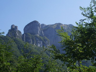 c0161459_08964.jpg