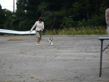 コナJCCデビュー&ターニャ初グランドクラス_f0126965_11305464.jpg