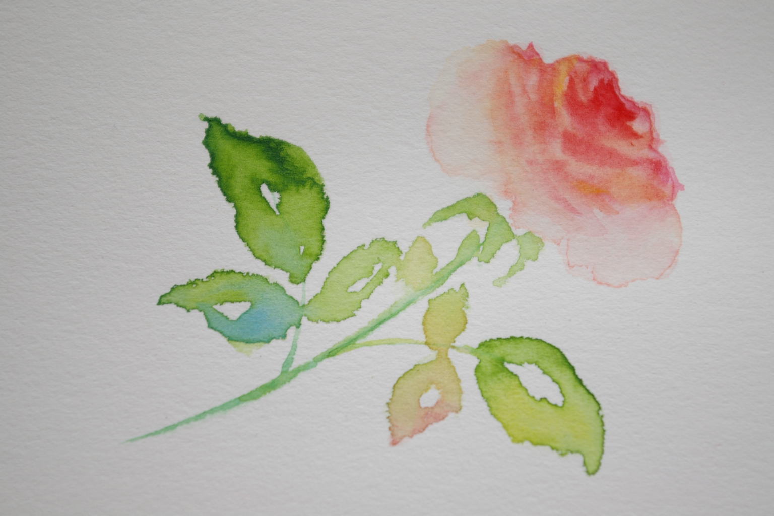 いろいろ バラ 描き 方 簡単 172963薔薇 描き方 簡単 Irasujozerou