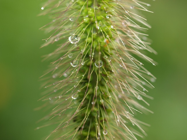 b0135573_12332332.jpg