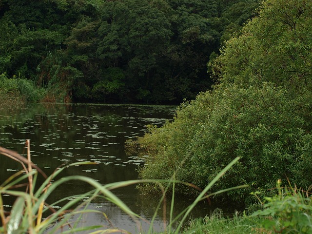 b0135573_12353057.jpg