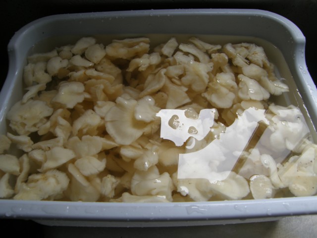 d0134473_17143338.jpg