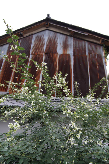 c0054876_177158.jpg