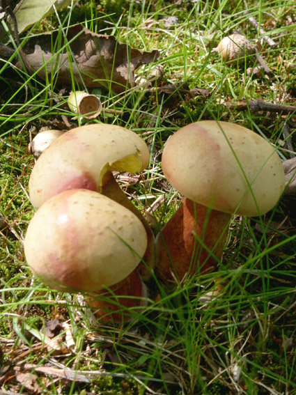 c0158387_22301220.jpg