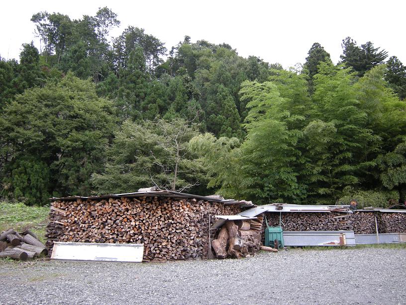 f0063887_03670.jpg