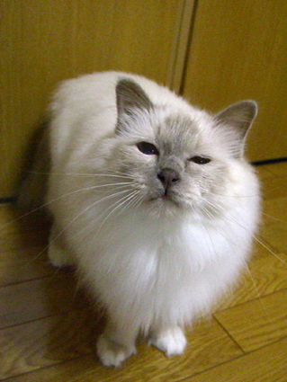 a0045697_002036.jpg