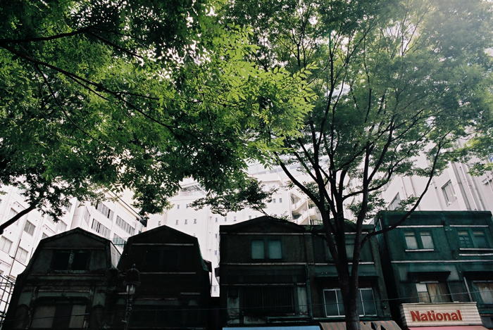 c0120903_254211.jpg
