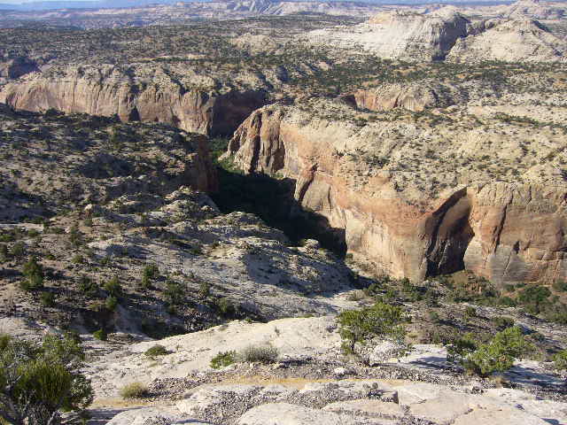 b0112909_14283357.jpg