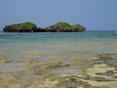 d0116009_026165.jpg