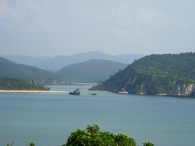 d0116009_049637.jpg